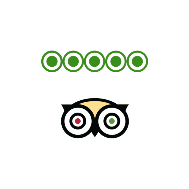 TripAdvisor 5 Star Reviews Boost Your Visibility